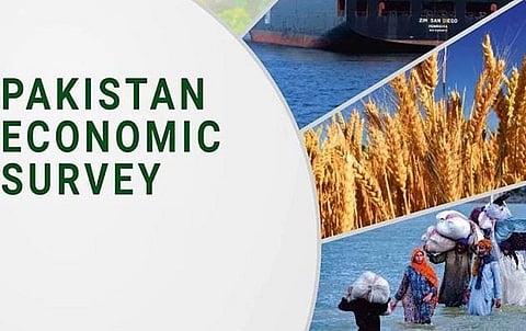 Pakistan Missed GDP Growth Target:Agri & Dairy Sectors Only Saving