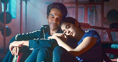 Mr & Mrs Mahi Box Office Collection