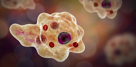 Kerala Reports Fourth Case of Rare Brain-Eating Amoeba