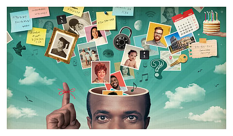 Memory Magic: How Brain Made Human Distinguished From Animals?