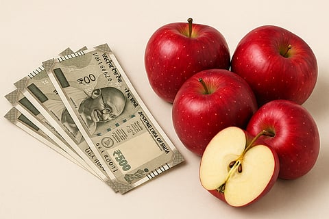 सेब उत्पादकों के लिए केंद्र की अहम पहल