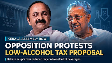 Opposition Protests Low-Alcohol Tax Proposal in Assembly