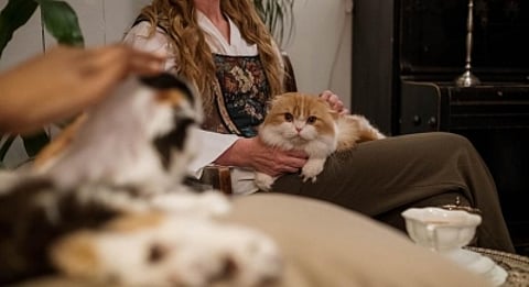 All you need to do is select a pet-friendly location and a reputable pet relocation company.
(IANS)