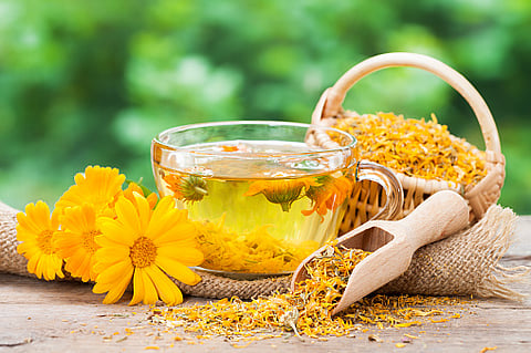 Calendula is the remedy for your skin reducing redness & blemishes