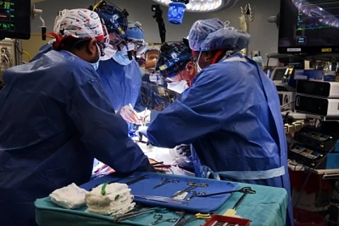 Multiple organs were harvested from a brain-dead youth. (IANS)