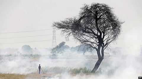 A worker burns stubble after harvesting pulse crop in a field at Hoshangabad district of India's Madhya Pradesh state on June 12, 2022.