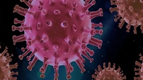 A cancer patient in US' Connecticut has become the second longest-known in the world to be infected with Covid. (IANS)