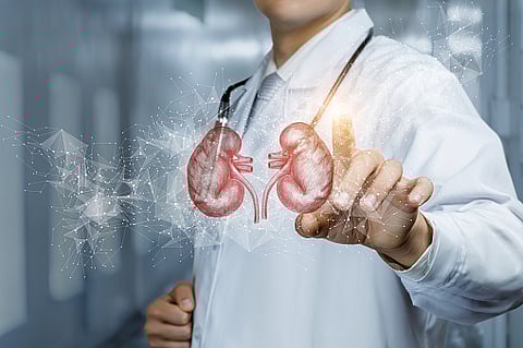 Increased risk of kidney failure in patients with chronic kidney disease (CKD). (Pixabay)