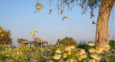 More than 100 different species of natural and organic crops may be found at MharoKhet. (IANS)
