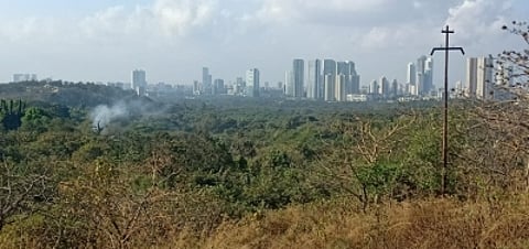 Aarey forest (IANS)
