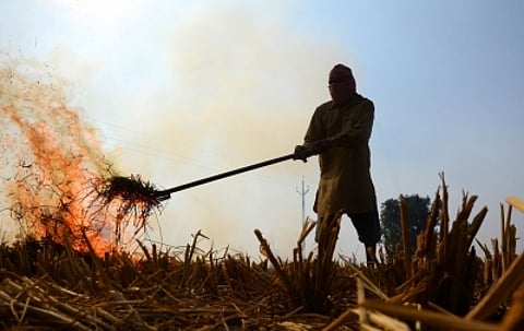 Stubble-burning is ravaging North India. (Representative Image)