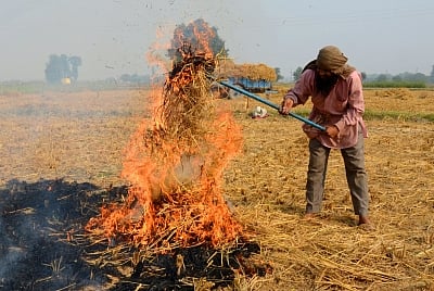 In Haryana, where incidents of stubble burning are significantly lower than that in Punjab, paddy is grown in about 4,800 villages.