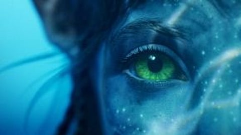 Avatar: The Way of Water (Poster/IANS)