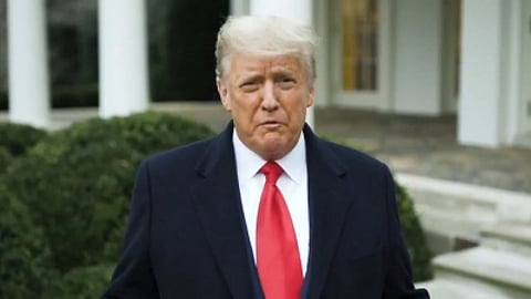 Republicans Lose Shot at Control of Senate in Major Blow to Trump and Party (Ld).
