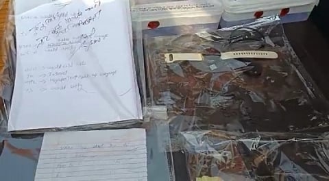 The accused girl, Payal, also wrote a note and made a plot to fake her death so that she can avenge the deaths of her parents who had committed suicide. (IANS)