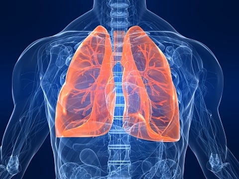 Researchers tests AI tool that predicts risk of lung cancer. (IANS)