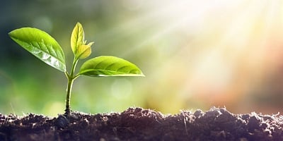 In the 'Green Growth' segment, 500 new 'Waste to Wealth' plants will be established under the GOBARdhan scheme for promoting the circular economy. (Representative Image/IANS)