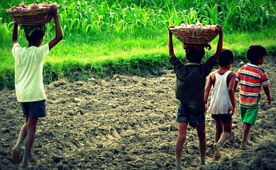 The enraged Opposition Maha Vikas Aghadi (MVA) demanded to know whether she had been 'sold', resulting in embarrassment for the ruling Shiv Sena-Bharatiya Janata Party alliance government. (Representative Image/IANS)