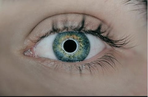 The optic nerve plays a critical role in transmitting visual information from the eye to the brain, and glaucoma refers to a group of eye conditions that can damage this nerve.