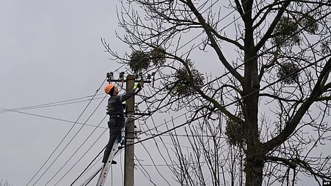 A worker repairs a power line following a Russian strike in the village of Velyka Vilshanytsia, some 50km from Lviv, on March 9, 2023. (AFP)