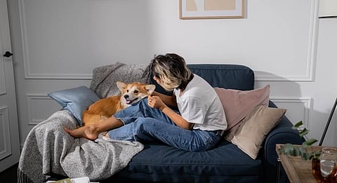 The study did not establish the causal nature of pet ownership on sleep quality and sleep disorders, but the results are consistent with previous studies that found that pet ownership has a negative impact on sleep quality.