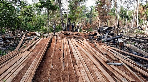 Activists with the Prey Lang Community Network for Preah Vihear province traveled through the area for four days and three nights in late March. 