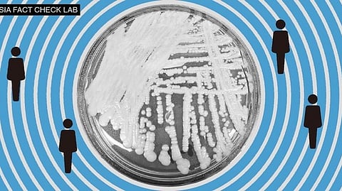 the spread of harmful ideas or to Beijing’s claim that the COVID-19 virus originated in the U.S.