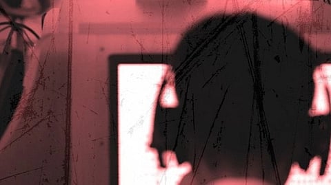 A criminal cyber spy group believed to be backed by the North Korean government.