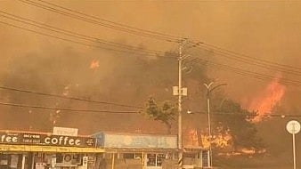 The wildfire broke out on a hill in Gangneung's Nangok-dong district at around 8.30 a.m.