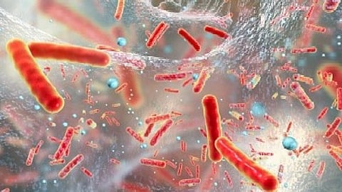 AI helps identify new antibiotic than can take one of three top 'superbugs