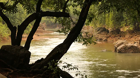 Chief Minister Yogi Adityanath has announced the setting up of a new authority that would explore options of waterways. (Unsplash)