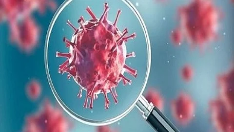 To better understand the prevalence and severity of symptoms, the US National Institutes of Health (NIH) launched Researching Covid to Enhance Recovery (RECOVER-Adult). (IANS)