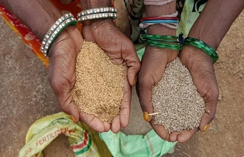 The event aimed to raise awareness about the nutritional benefits of millets among the general public.