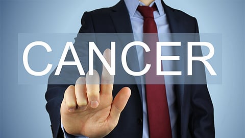 UTS showed that a mix of indoor plants was highly effective at removing harmful, cancer-causing pollutants, with 97 per cent of the most toxic compounds removed from the surrounding air in just eight hours.