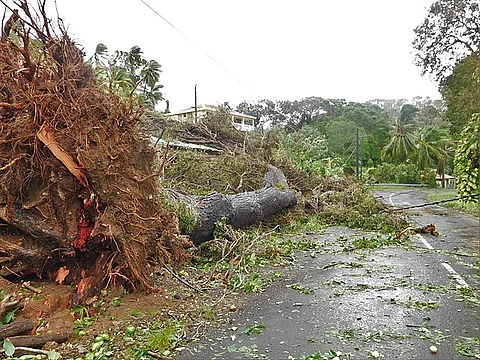 Regions including Rajkot, Devbhoomi Dwarka, and Jamnagar experienced downpours, leading to road closures and widespread waterlogging. (Representational image: Wikimedia Commons)