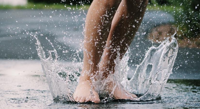 During the rainy season, opt for warm beverages like herbal teas, soups, and ginger-infused drinks. (IANS)