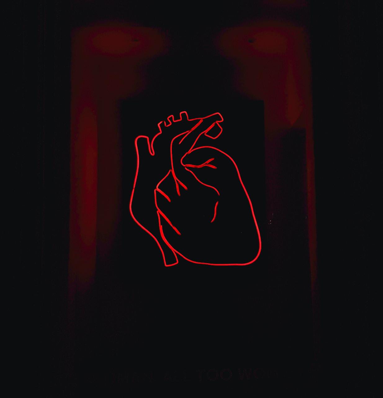 The couple was found dead in an odd state just one day after they were wed. 