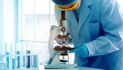 The scientists grew the embryonic stem cells in culture and then transferred it into a rotating bottle that acted as an artificial uterus. (IANS)