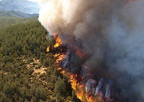 Canada wildfires smoke darkens US skies