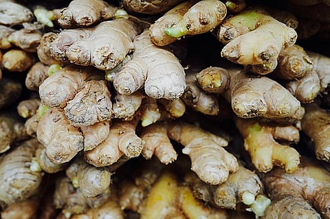 Ginger prices have skyrocketed in Kolkata (Wikimedia Commons)
