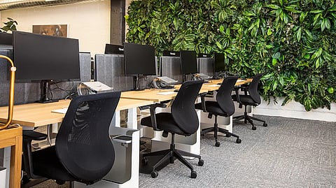 Office partitions are a straightforward, affordable way of creating separate workspaces within an open space. (Unsplash)