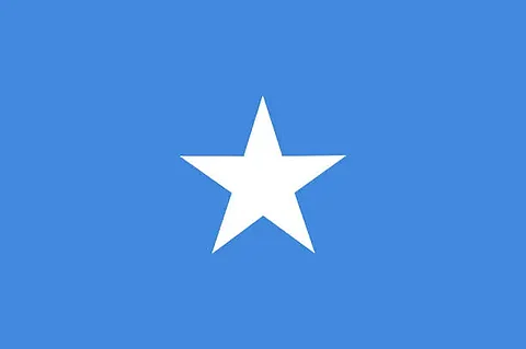 Somali health authorities and the WHO have renewed their commitment to eliminating viral hepatitis in the country. (Pixabay)