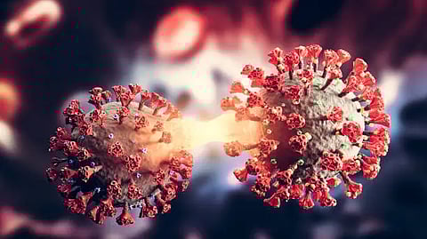 CMFRI develops antiviral product from seaweeds against delta variant of Covid (Representational Image: Pixabay)