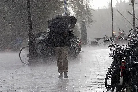 Dietary recommendations for Monsoon (Pixabay)