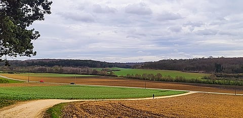 Mukhya Mantri Khet scheme to be implemented in whole of UP (Wikimedia Commons)