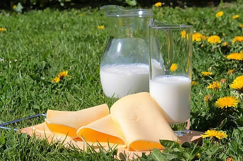 Global study challenges advice to limit high-fat dairy foods (Representative Picture: Pixabay)