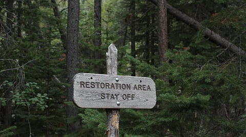 Restoration services breathe new life into properties by preserving unique architectural features and incorporating modern amenities, attracting potential buyers and tenants.
(Unsplash)