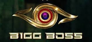 Puneesh Sharma, of Bigg Boss 11 fame, is set to make a resounding return with his music video titled 'Haara Nahi.' (Wikimedia Commons)