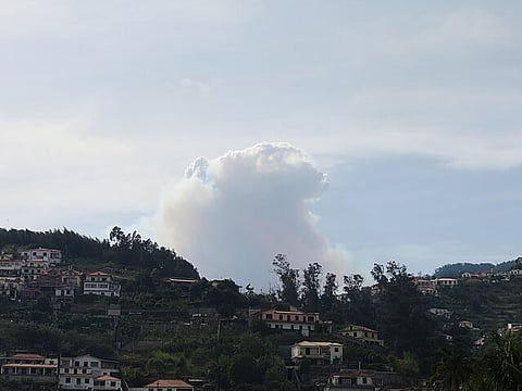 In Hawaii, Concerns Over 'Climate Gentrification' Rise After Maui Fires ( Wikimedia Commons)
