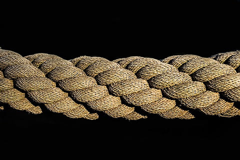 Body of school teacher found hanging from tree in Guwahati (Representational image; pixabay)